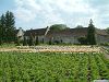 Cliquez ici pour voir l'image (Loire 007.jpg)